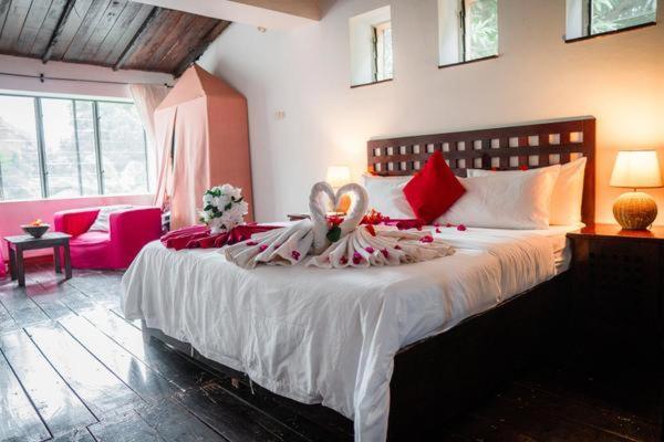 Hotel Hibiscus House Gambia Brufut Exterior foto
